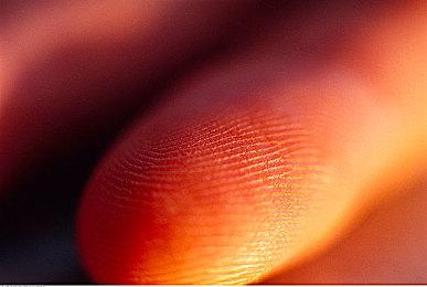 神奇狐狸之旅《北方之灵2》面向PS5＆XS＆PC公布